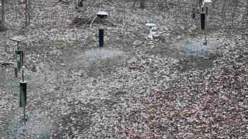 Weather camera view of Cincinnati Nature Center.