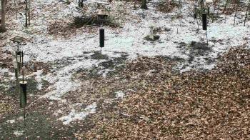 Weather camera view of Cincinnati Nature Center.