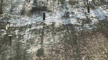 Weather camera view of Cincinnati Nature Center.