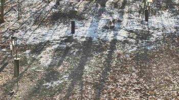 Weather camera view of Cincinnati Nature Center.