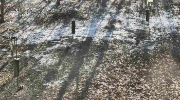 Weather camera view of Cincinnati Nature Center.