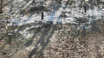 Weather camera view of Cincinnati Nature Center.