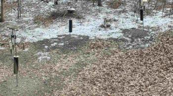 Weather camera view of Cincinnati Nature Center.