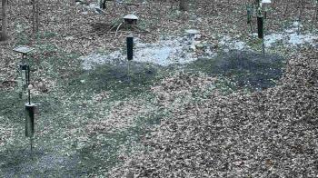 Weather camera view of Cincinnati Nature Center.