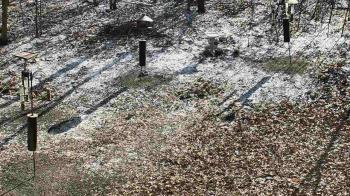 Weather camera view of Cincinnati Nature Center.