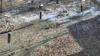 Weather camera view of Cincinnati Nature Center.