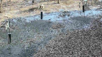 Weather camera view of Cincinnati Nature Center.