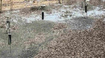 Weather camera view of Cincinnati Nature Center.