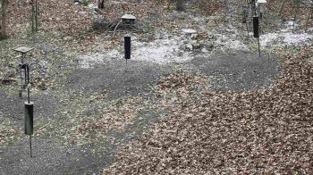 Weather camera view of Cincinnati Nature Center.