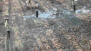 Weather camera view of Cincinnati Nature Center.