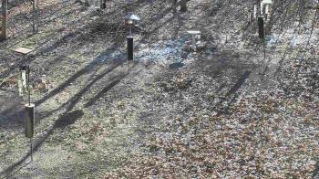 Weather camera view of Cincinnati Nature Center.