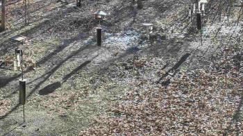 Weather camera view of Cincinnati Nature Center.