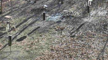 Weather camera view of Cincinnati Nature Center.