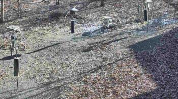 Weather camera view of Cincinnati Nature Center.