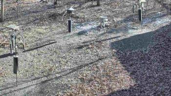 Weather camera view of Cincinnati Nature Center.