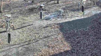 Weather camera view of Cincinnati Nature Center.