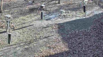 Weather camera view of Cincinnati Nature Center.