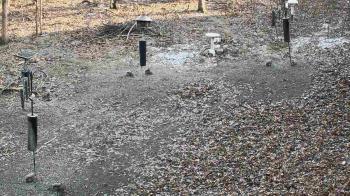 Weather camera view of Cincinnati Nature Center.
