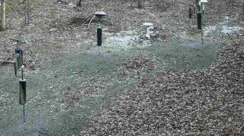 Weather camera view of Cincinnati Nature Center.