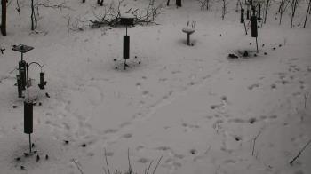 Weather camera view of Cincinnati Nature Center.