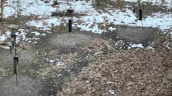 Weather camera view of Cincinnati Nature Center.