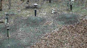 Weather camera view of Cincinnati Nature Center.