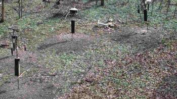 Weather camera view of Cincinnati Nature Center.