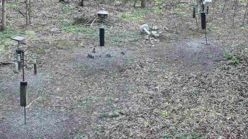 Weather camera view of Cincinnati Nature Center.