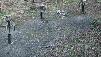 Weather camera view of Cincinnati Nature Center.