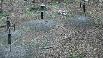 Weather camera view of Cincinnati Nature Center.