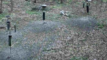 Weather camera view of Cincinnati Nature Center.