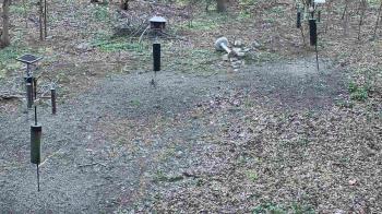 Weather camera view of Cincinnati Nature Center.