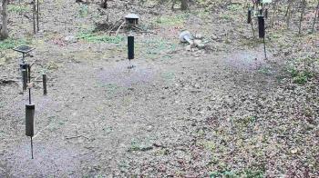 Weather camera view of Cincinnati Nature Center.
