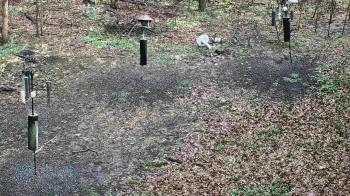 Weather camera view of Cincinnati Nature Center.