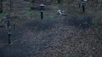 Weather camera view of Cincinnati Nature Center.