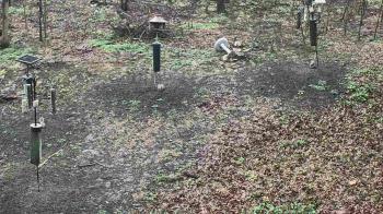 Weather camera view of Cincinnati Nature Center.