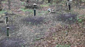 Weather camera view of Cincinnati Nature Center.