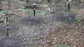 Weather camera view of Cincinnati Nature Center.