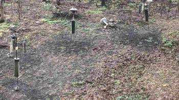 Weather camera view of Cincinnati Nature Center.