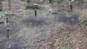 Weather camera view of Cincinnati Nature Center.