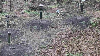 Weather camera view of Cincinnati Nature Center.