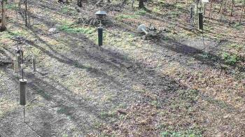 Weather camera view of Cincinnati Nature Center.