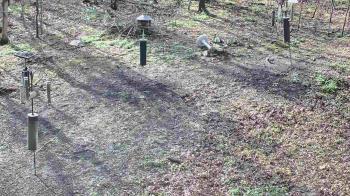 Weather camera view of Cincinnati Nature Center.