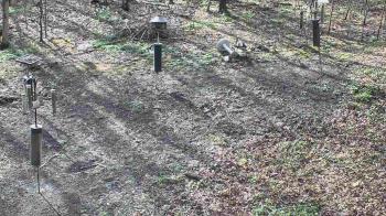 Weather camera view of Cincinnati Nature Center.