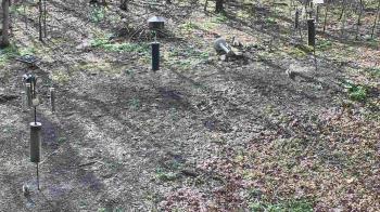 Weather camera view of Cincinnati Nature Center.