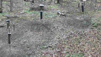 Weather camera view of Cincinnati Nature Center.