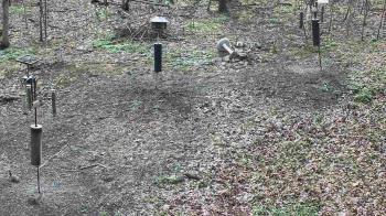 Weather camera view of Cincinnati Nature Center.