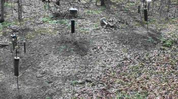 Weather camera view of Cincinnati Nature Center.