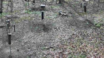 Weather camera view of Cincinnati Nature Center.