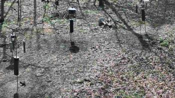 Weather camera view of Cincinnati Nature Center.